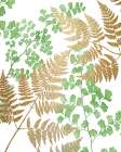Green Golds 1 Botanical Print