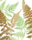 Green Golds 2 Botanical Print