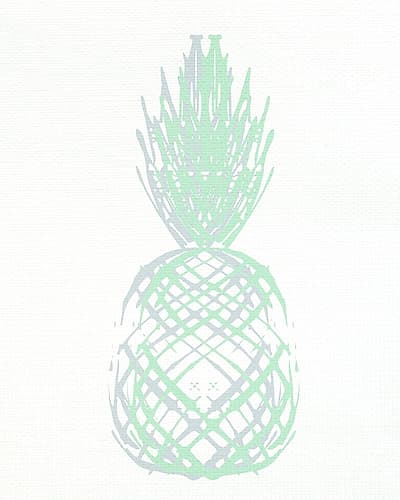 Pineapple Layers 2 V2 Art Print
