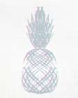 Pineapple Layers 2 Kitchen Print