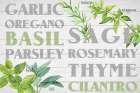 Layers Of Black And White Herbs Art Print