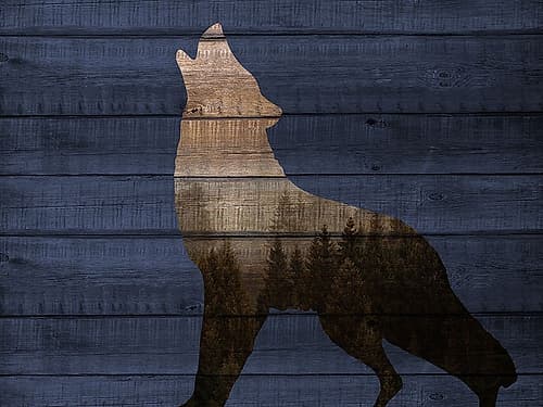 Wolf In The Woods Animaux reproduction
