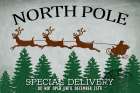 North Pole Delivery Art Print