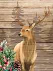 Forest Deer Christmas Art Print