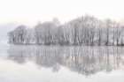 Mist Lake Art Print