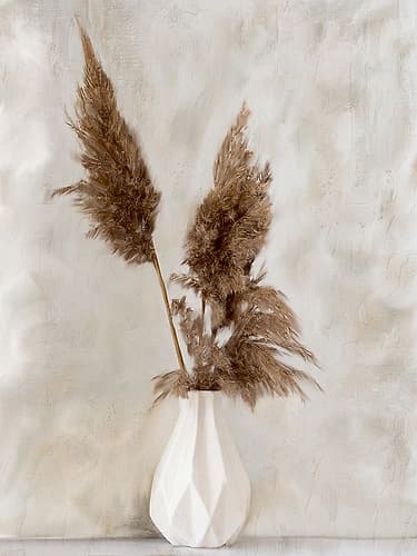 Pampass Vase Nature Print