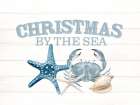 Christmas By The Sea Art Print