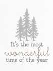 Most Wonderful Time Art Print