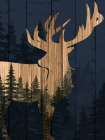 Hidden Forest 1 Art Print