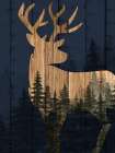 Hidden Forest 2 Art Print