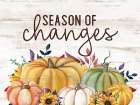 Season of Changes Art Print
