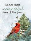 Wonderful Cardinal Art Print