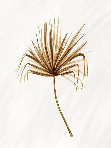 Palmetto 1 Nature Print