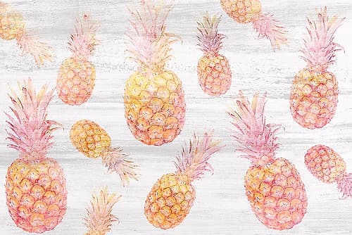 Pinneapple 2 Food Print