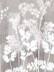 Calmness Botanical 2 Art Print