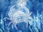 White Sea Creatures 3 Art Print