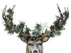 Christmas Deer Art Print