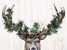 Christmas Deer Art Print