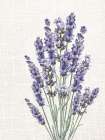 Linen Lavender 2 Art Print