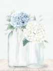 Hydrangeas 1 Art Print