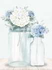 Hydrangeas 2 Art Print