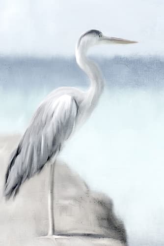 Herons View Animaux reproduction