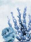 Blue Coral 2 Art Print