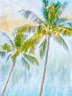 Sunset Palms 1 Coastal Print