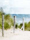 Pathway To The Beach Coastal Print