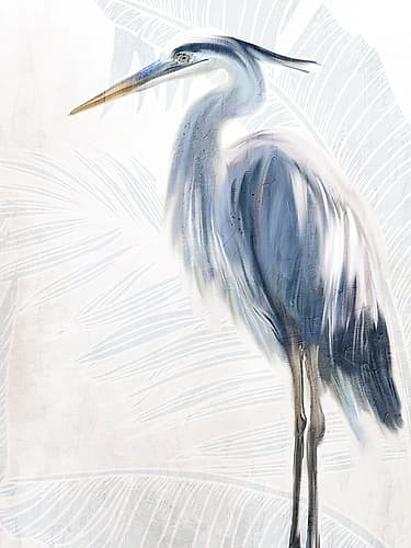Seaside Flight 1 Animaux reproduction