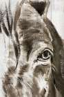 Sketched Horse Art Print