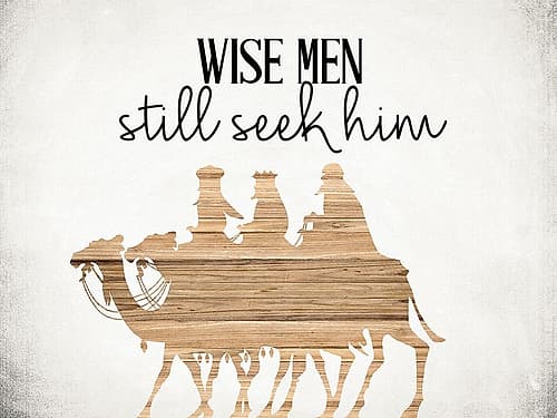 Still Seek Nature Print