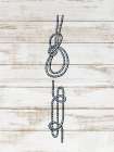 Knots 2 Art Print