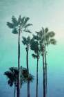 Sunset Blues 1 Coastal Print