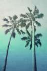 Sunset Blues 2 Coastal Print