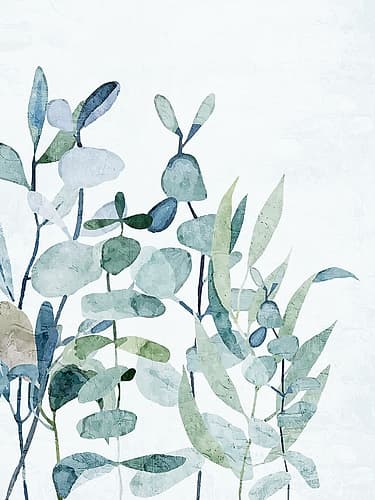 Eucalyptus Garden 2 Art Print
