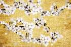 On Gold Magnolias Art Print