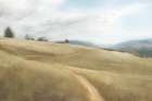 Open Meadow Landscape Print