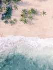Beach Top Coastal Print