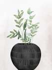 Black Stone 2 Botanical Print