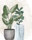 Glass And Stone 2 Botanical Print