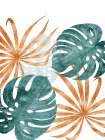 Orange And Green Palms 2 Botanical Print