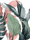 Tri Color Palms 2 Art Print