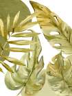 Tropic Greens 1 Botanical Print
