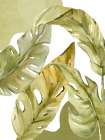 Tropic Greens 2 Botanical Print