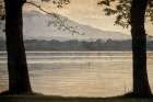 Quiet Oaks Lake Landscape Print