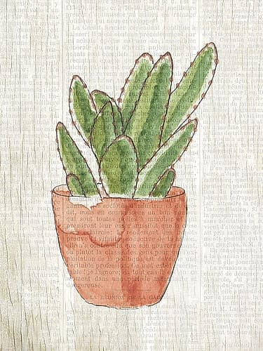 Spring Cactus 1 Nature Print