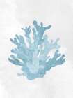Coral Blue 2 Art Print