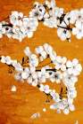 Spice Orange 1 Art Print