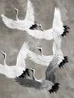 Flight Of The Cranes Black & White Print
